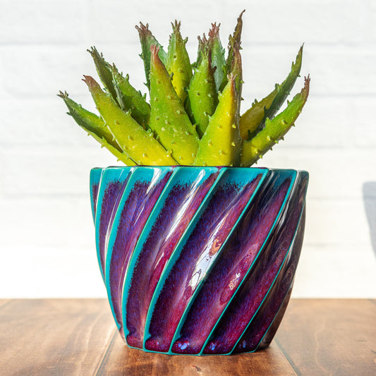 'Dragon Blood' 4.5" Twist Short Planter